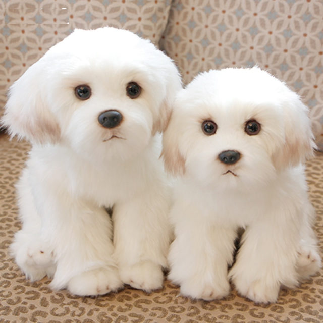 maltese stuffed animal